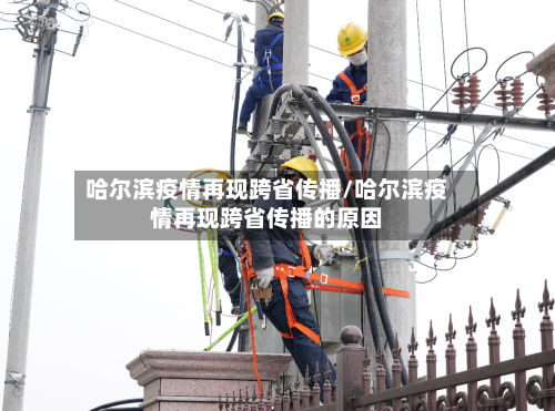哈尔滨疫情再现跨省传播/哈尔滨疫情再现跨省传播的原因