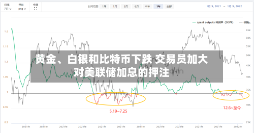 黄金	、白银和比特币下跌 交易员加大对美联储加息的押注-第2张图片