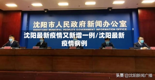 沈阳最新疫情又新增一例/沈阳最新疫情病例-第2张图片