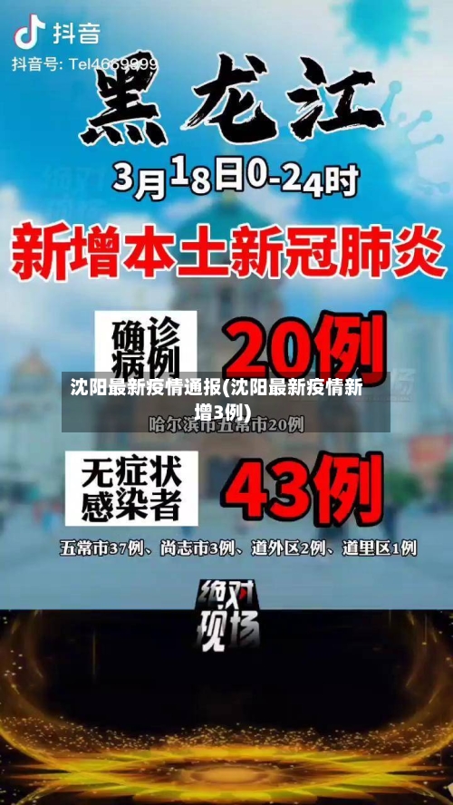 沈阳最新疫情通报(沈阳最新疫情新增3例)-第2张图片
