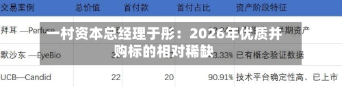 一村资本总经理于彤：2026年优质并购标的相对稀缺