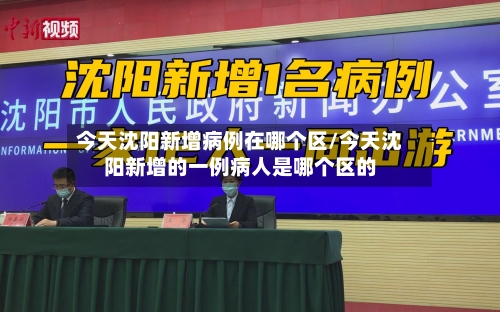 今天沈阳新增病例在哪个区/今天沈阳新增的一例病人是哪个区的-第3张图片