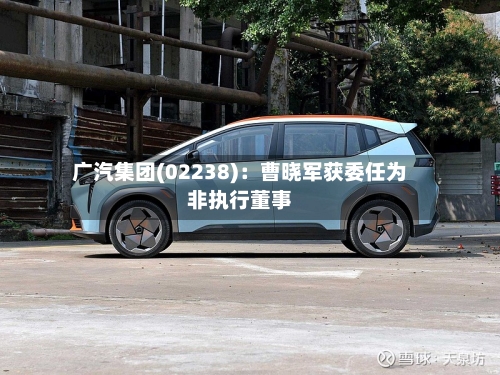 广汽集团(02238)：曹晓军获委任为非执行董事-第2张图片