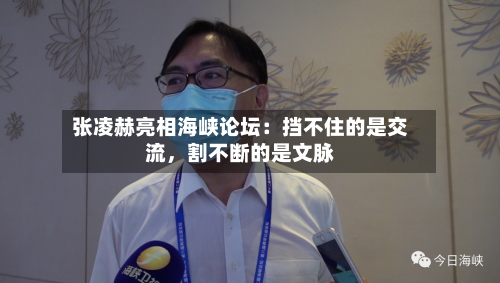 张凌赫亮相海峡论坛：挡不住的是交流，割不断的是文脉-第3张图片