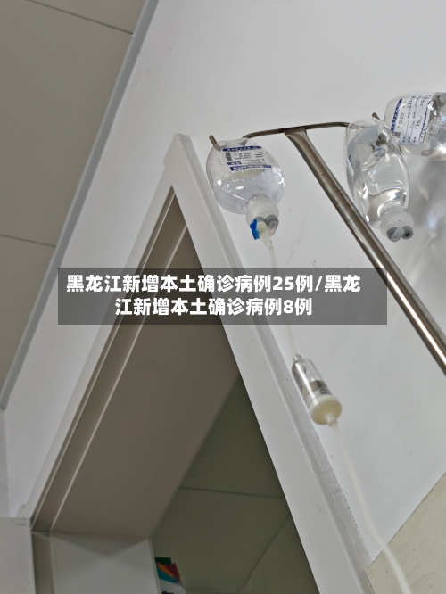 黑龙江新增本土确诊病例25例/黑龙江新增本土确诊病例8例-第2张图片