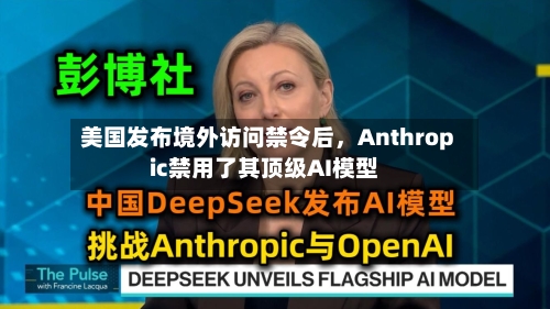 美国发布境外访问禁令后	，Anthropic禁用了其顶级AI模型-第2张图片