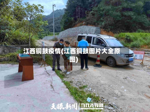 江西铜鼓疫情(江西铜鼓图片大全原图)