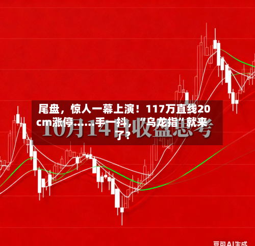 尾盘，惊人一幕上演！117万直线20cm涨停......手一抖，“乌龙指”就来了？