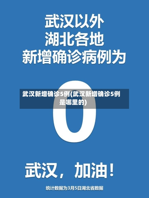 武汉新增确诊5例(武汉新增确诊5例是哪里的)-第2张图片