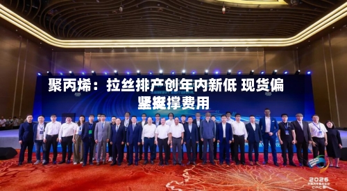 聚丙烯:拉丝排产创年内新低 现货偏紧支撑费用
坚挺-第3张图片