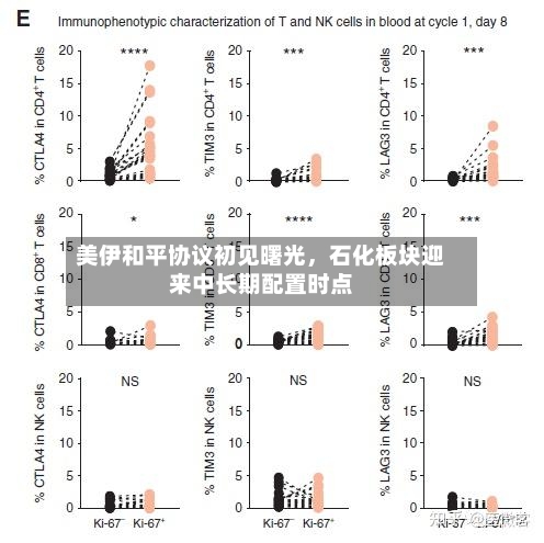 美伊和平协议初见曙光	，石化板块迎来中长期配置时点-第3张图片