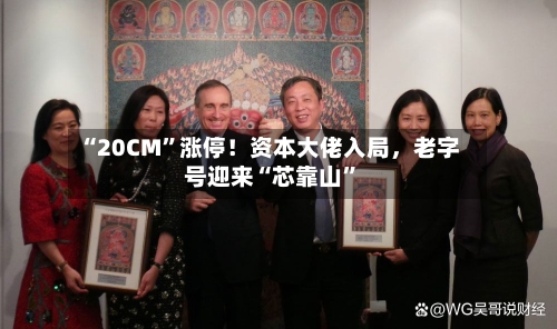 “20CM”涨停！资本大佬入局，老字号迎来“芯靠山	”-第3张图片