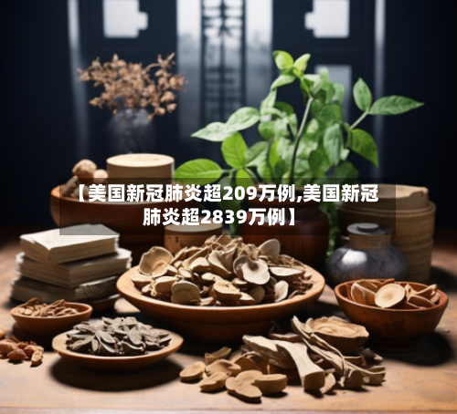【美国新冠肺炎超209万例,美国新冠肺炎超2839万例】-第2张图片