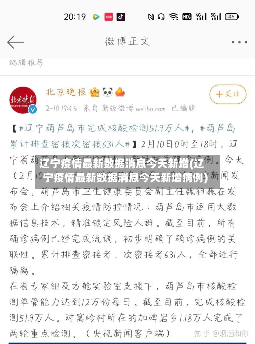 辽宁疫情最新数据消息今天新增(辽宁疫情最新数据消息今天新增病例)-第2张图片