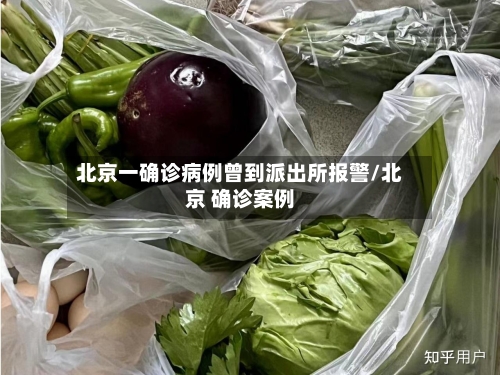 北京一确诊病例曾到派出所报警/北京 确诊案例