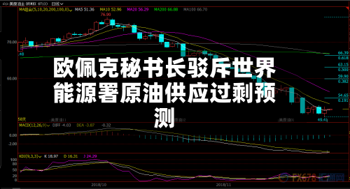 欧佩克秘书长驳斥世界能源署原油供应过剩预测