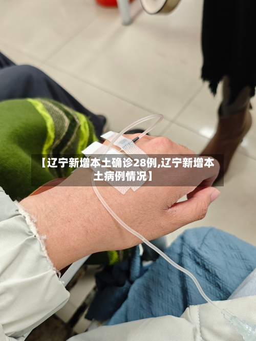 【辽宁新增本土确诊28例,辽宁新增本土病例情况】-第2张图片