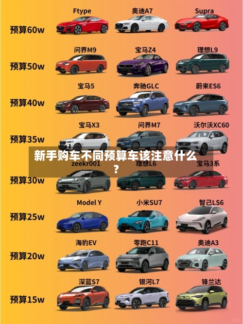 新手购车不同预算车该注意什么？