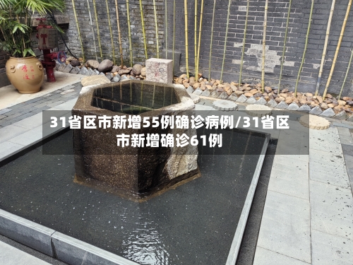 31省区市新增55例确诊病例/31省区市新增确诊61例