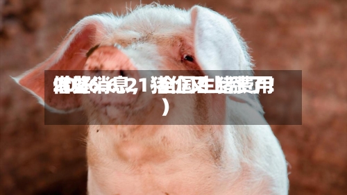 2026.6.21-全国生猪费用借鉴（好消息，猪价又上涨了！）-第2张图片