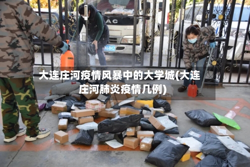 大连庄河疫情风暴中的大学城(大连庄河肺炎疫情几例)-第2张图片