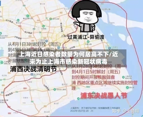 上海近日感染者数量为何居高不下/近来为止上海市感染新冠状病毒-第3张图片